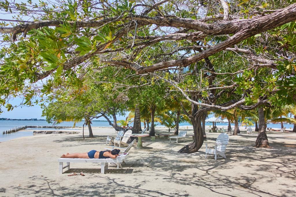 Sea Eye Hotel - Laguna Building Utila Extérieur photo